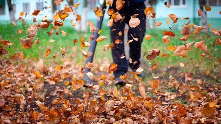 Garden Care Specialist